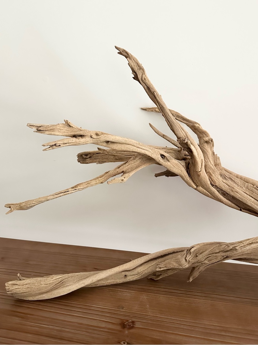 Large Natural Driftwood Branch - Coastal Beach Decor - Picture 3 of 17